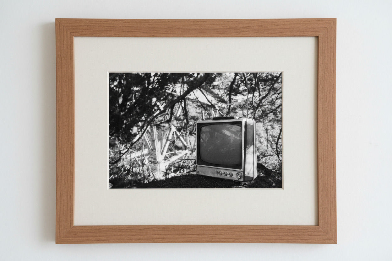 "Beneath The Canopy"