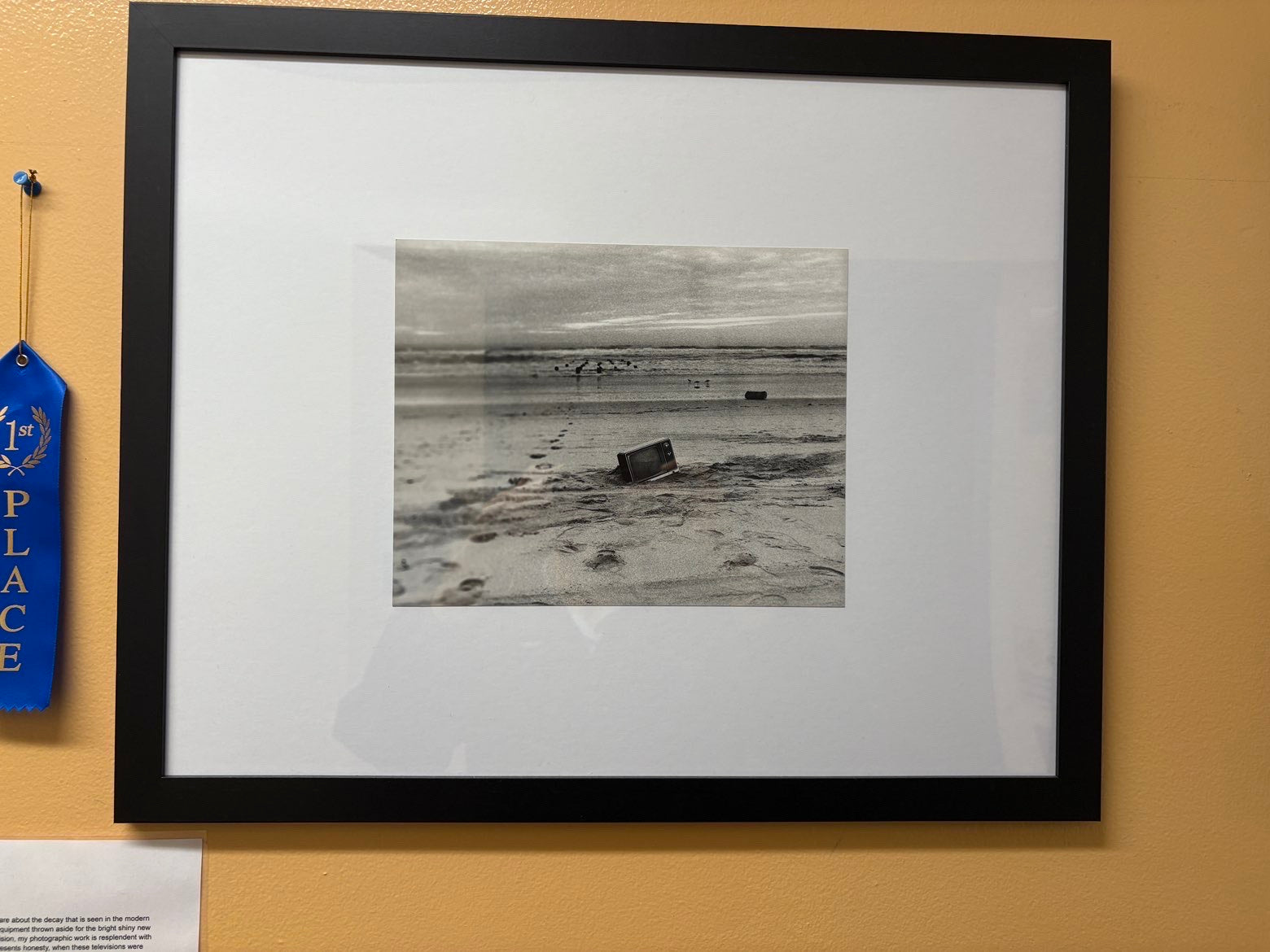 Award Winning Portfolio - "No Signal"