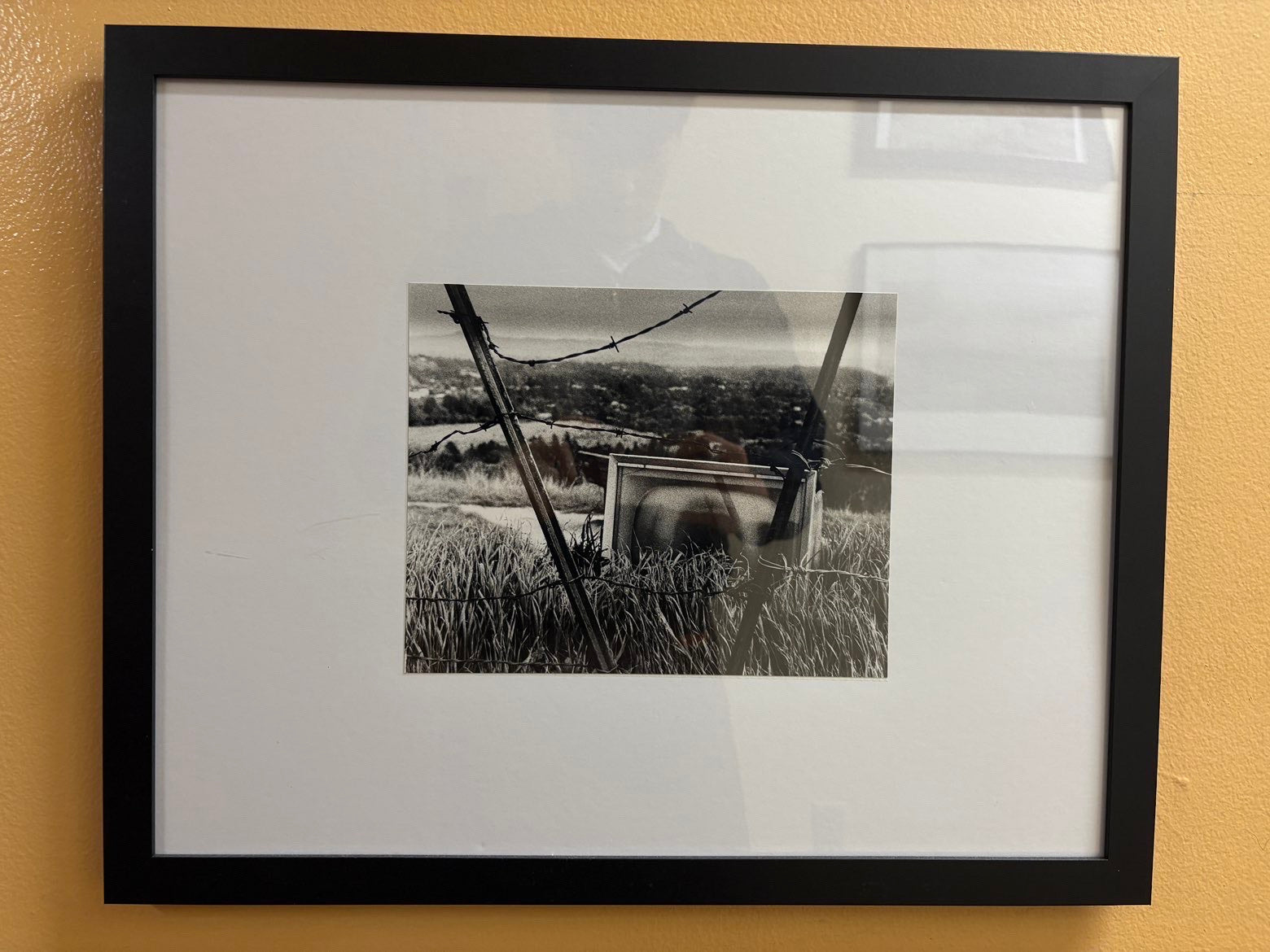 Award Winning Portfolio - "No Signal"