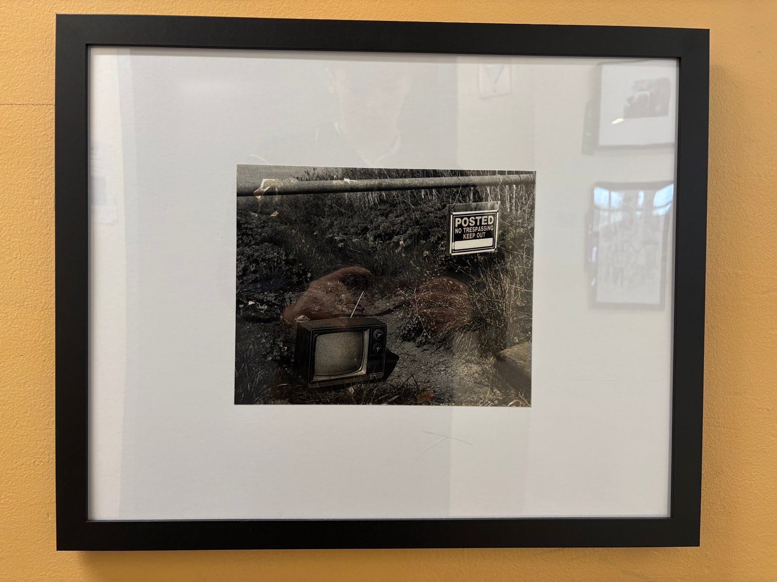 Award Winning Portfolio - "No Signal"