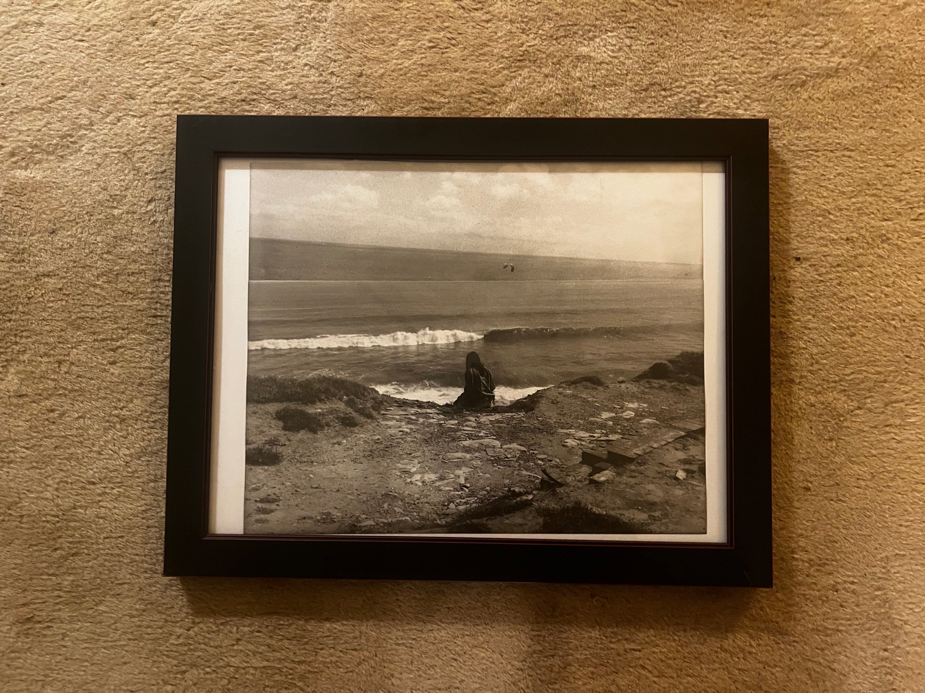 "Pelican" Single Frame